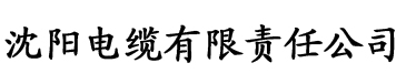 国产一区二区三区亚洲avv电缆厂logo